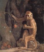 George Stubbs Monkey oil